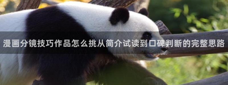 漫画免费看韩漫推荐
