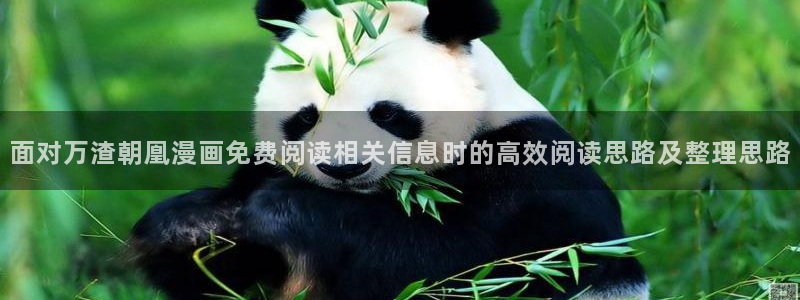 漫画免费看连载榜：面对万渣朝凰漫画免费阅读相关信息时的高效阅读思路及整理思路