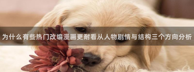 漫画免费看最新作品大全:为什么有些热门改编漫画更耐看从人物剧情与结构三个方向分析