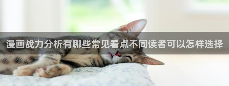 漫画免费看恋爱漫画:漫画战力分析有哪些常见看点不同读者可以怎样选择