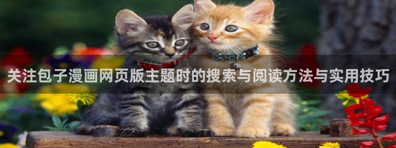 漫画免费看精品漫画:关注包子漫画网页版主题时的搜索与阅读方法与实用技巧